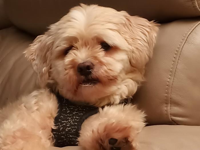 [Thumbnail for IMG_20230531_201114.jpg]