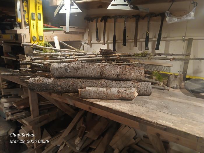 Nice fresh woody bits 