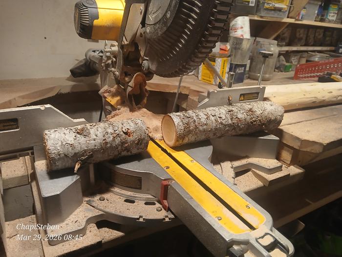 [Thumbnail for 20260329_084536.jpg]