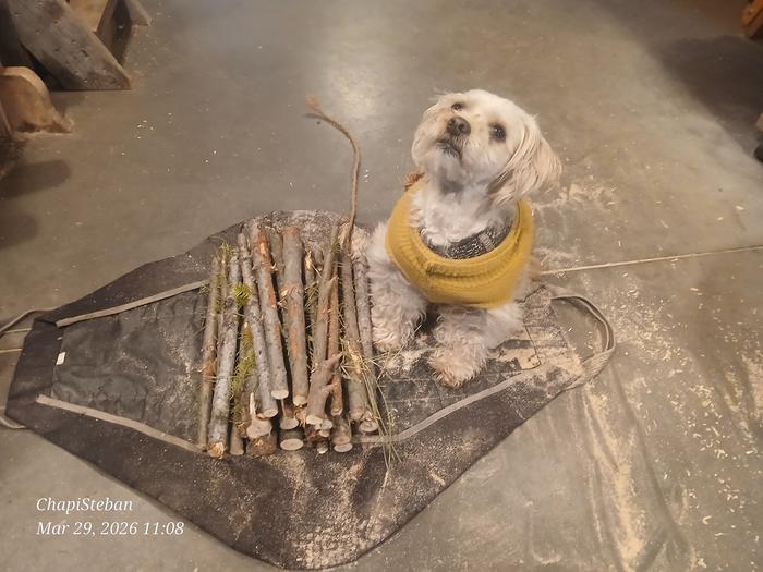 [Thumbnail for 20260329_110819.jpg]