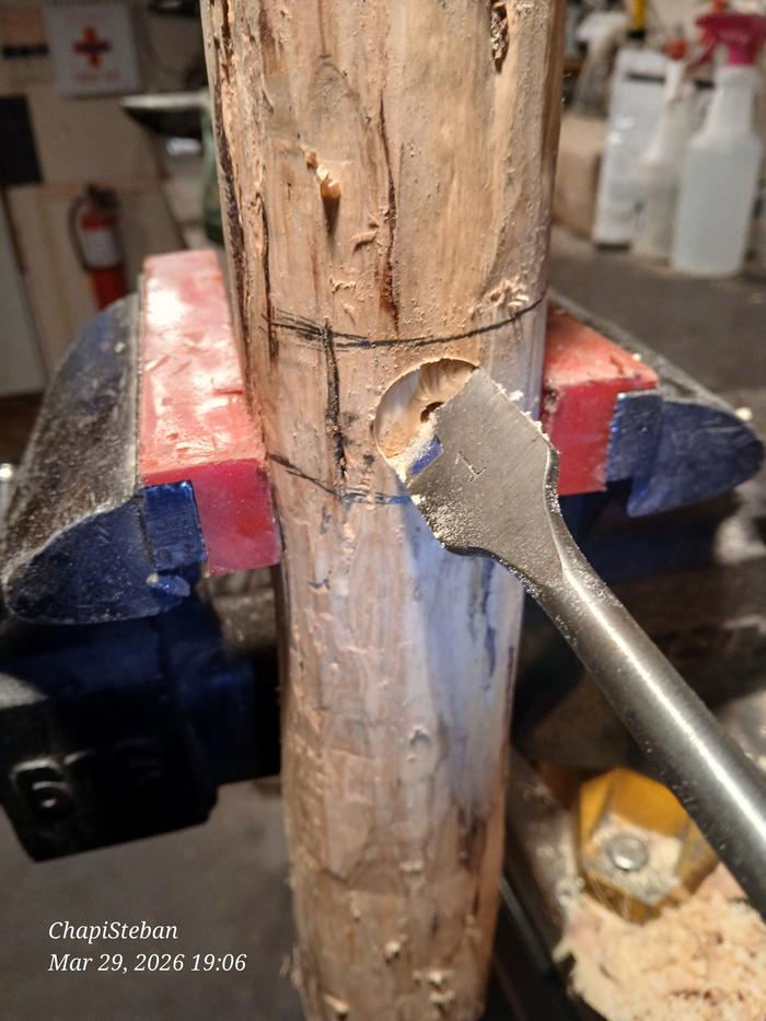 [Thumbnail for 20260329_190613.jpg]