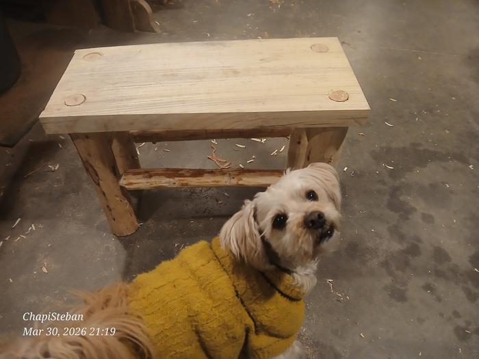 [Thumbnail for 20260330_211930.jpg]