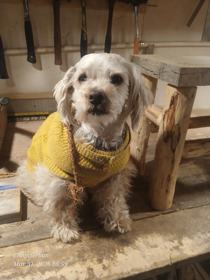 My safety supervisor lol 