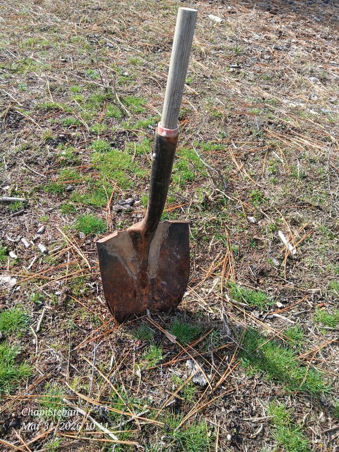 Found this shovel ... will be making new handle for it 