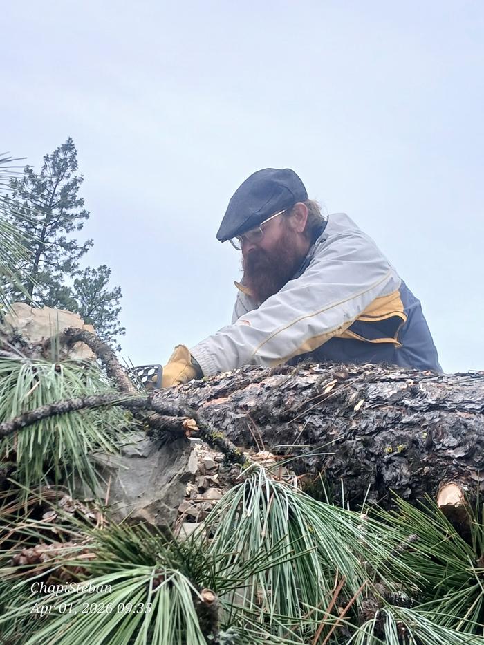 Country skillet delimbing 