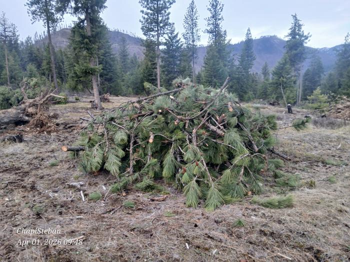 [Thumbnail for 20260401_094814.jpg]