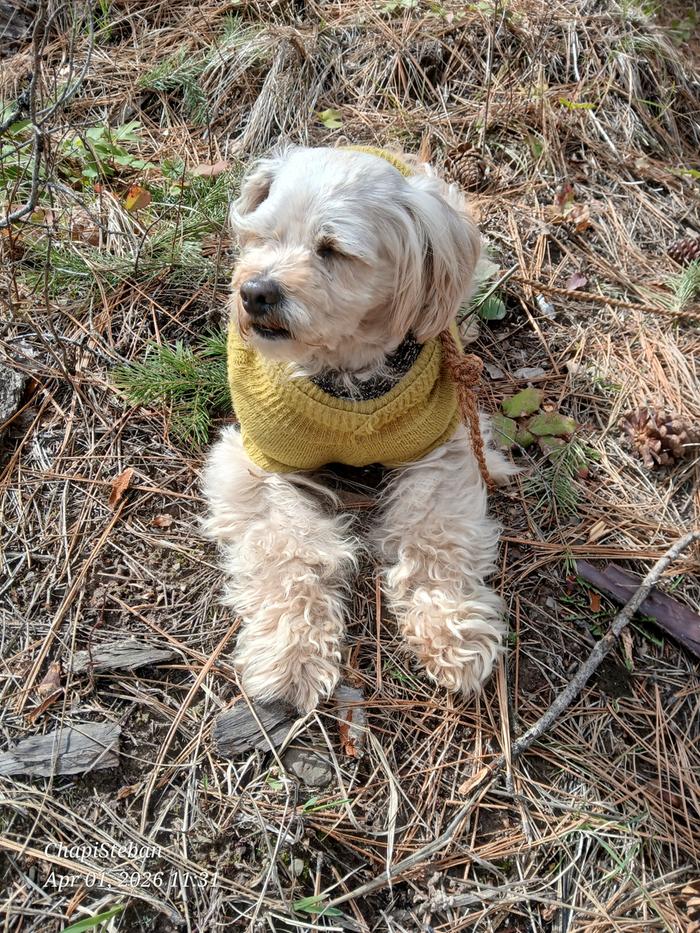 He's always on high alert lol