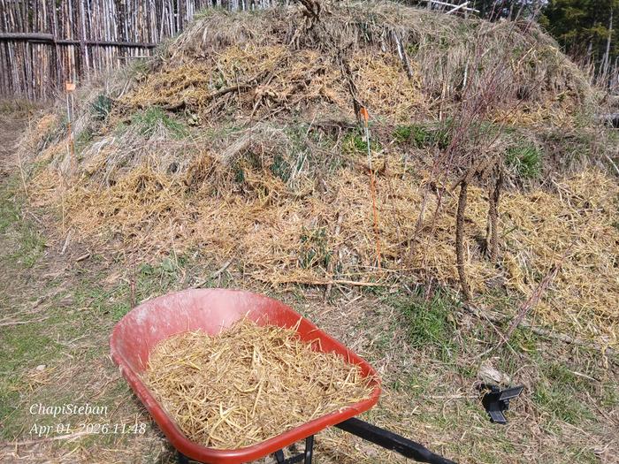 [Thumbnail for 20260401_114819.jpg]