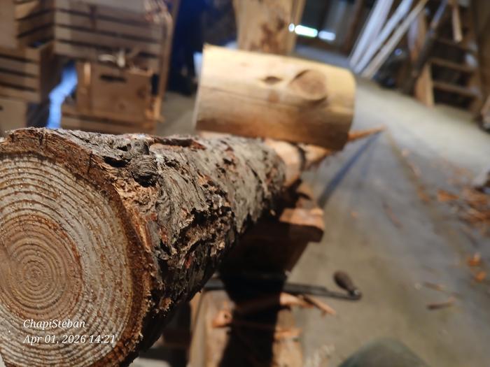 [Thumbnail for 20260401_142147.jpg]