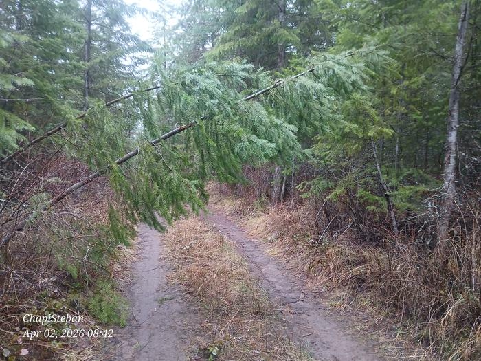 Oh oh an obstacle in the way