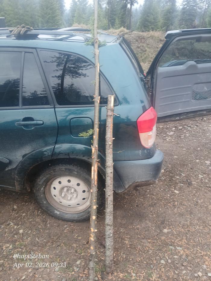 It longer is a problem ... will be using these to fashion the handles for a shovel and two hatchets