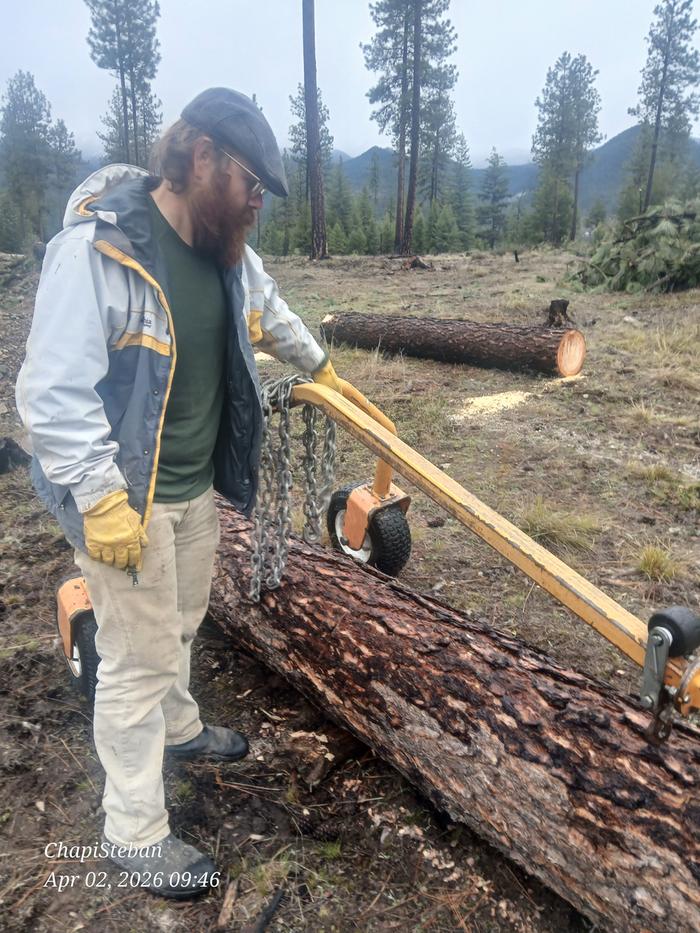 [Thumbnail for 20260402_094658.jpg]