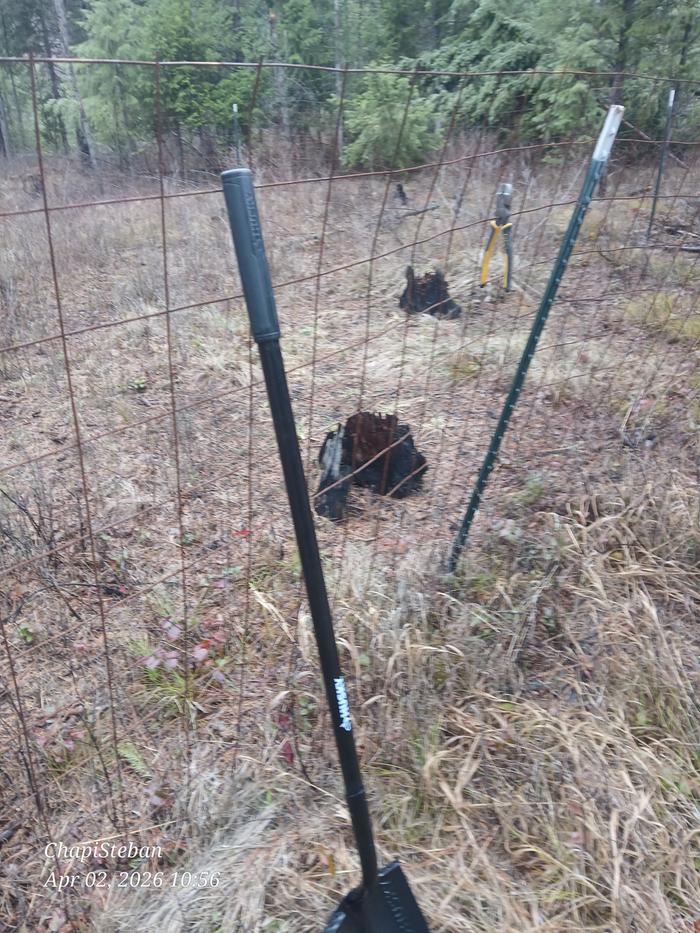 Some T-Posts to be removed 