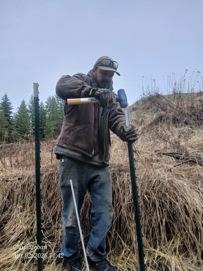 [Thumbnail for 20260402_114216.jpg]