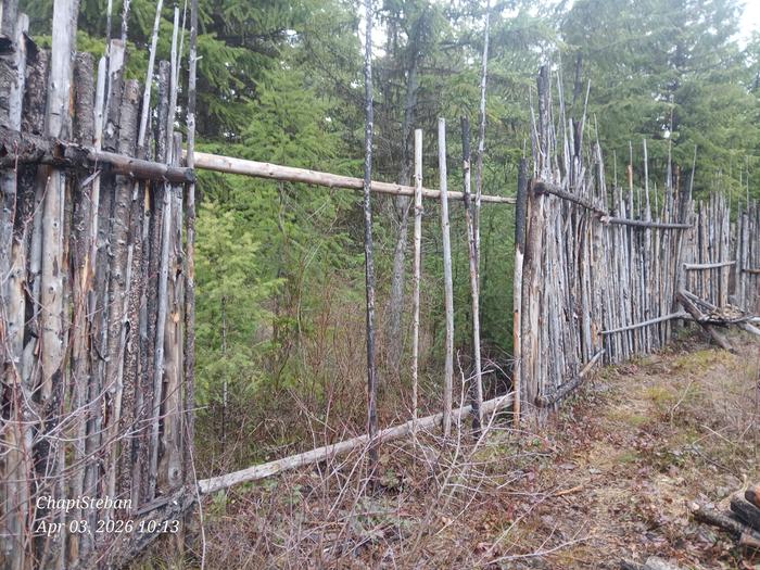 [Thumbnail for 20260403_101310.jpg]