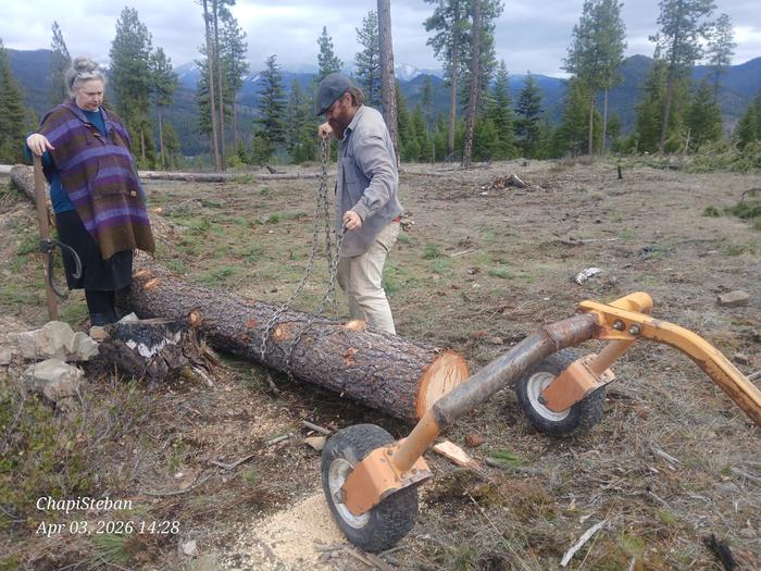 [Thumbnail for 20260403_142823.jpg]