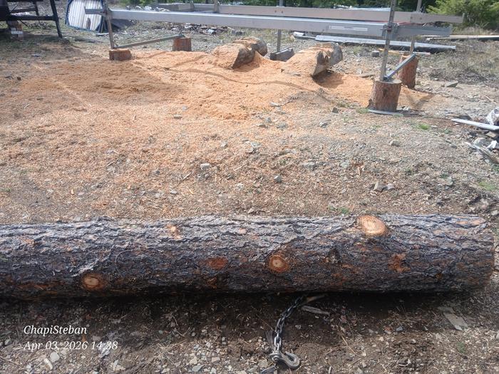 [Thumbnail for 20260403_143820.jpg]