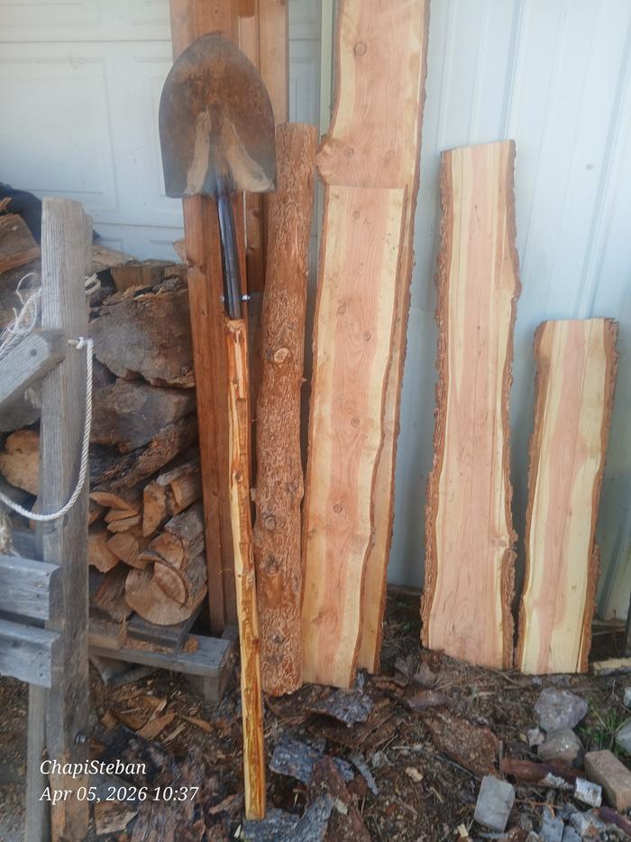 The shovel in all its glory 