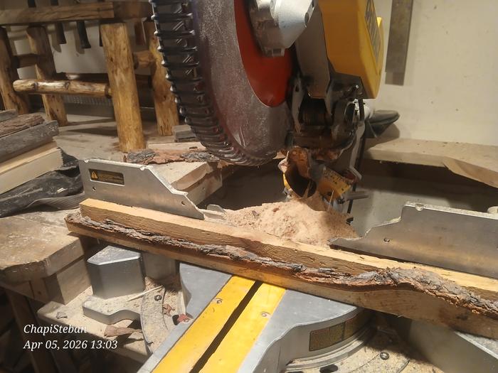 [Thumbnail for 20260405_130315.jpg]