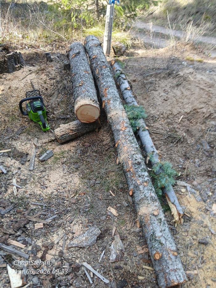 Logs to be bucked, split and stacked 
