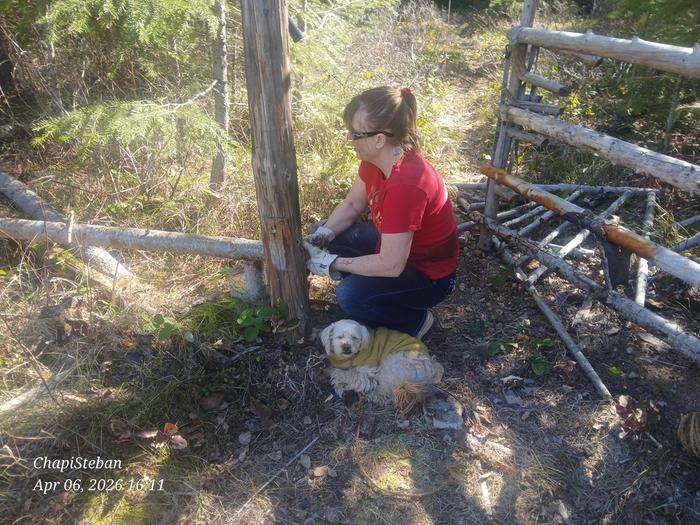 Chapito decided to help as well lol ...