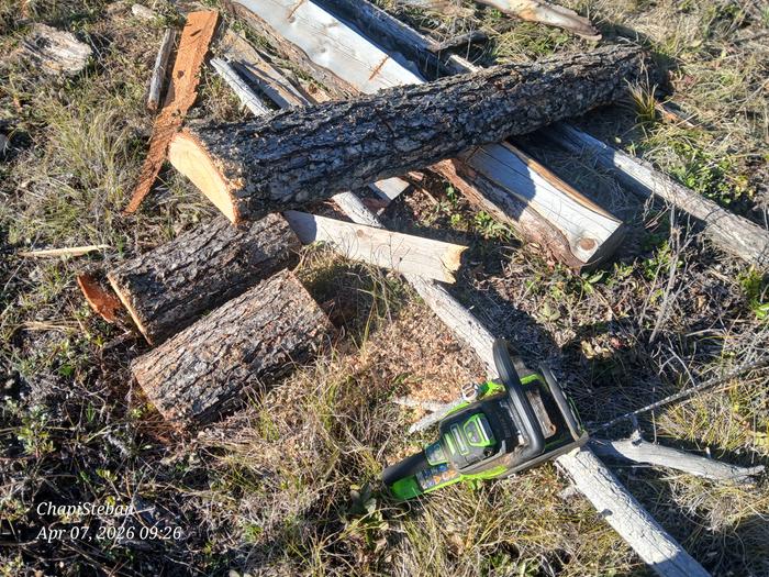 Bucking some logs from the sawmill site ... to be brought over to Cooper Cabin 