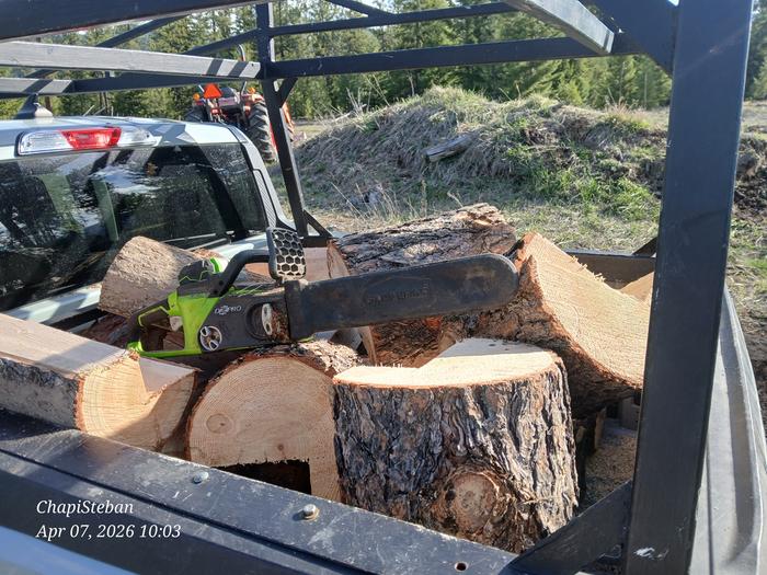 Done... will be brought to Cooper Cabin... to be split and stacked over there 