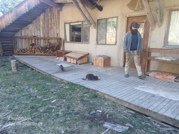 Seth feeding the cats at the Abbey 