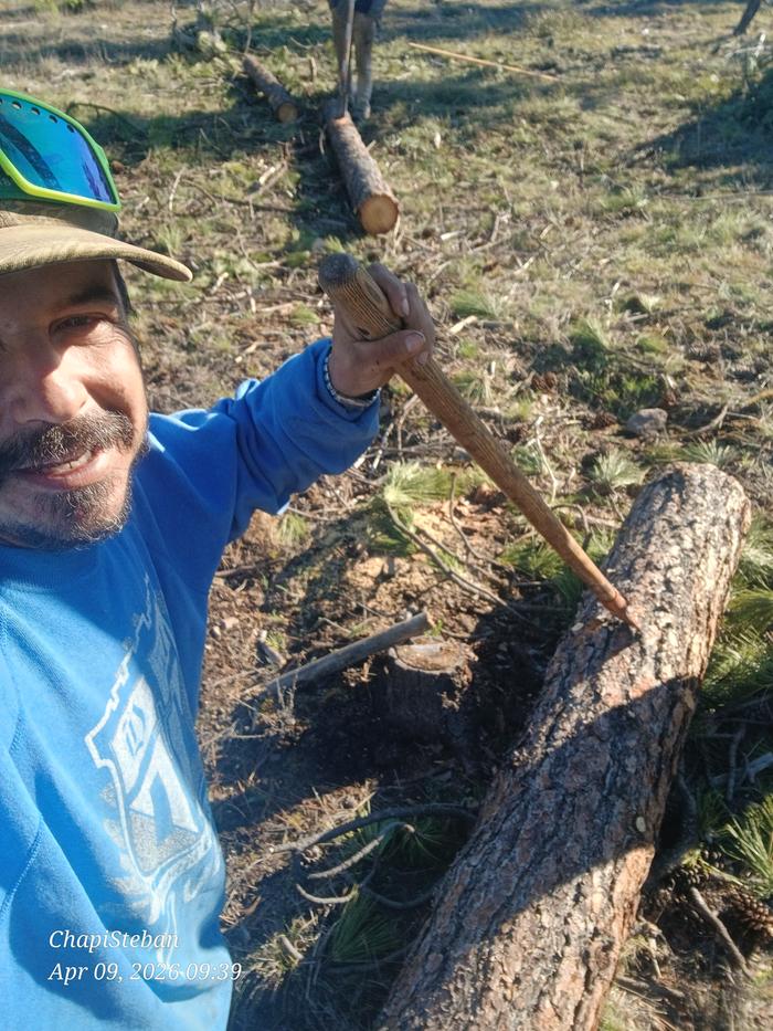 Will be debarking this log