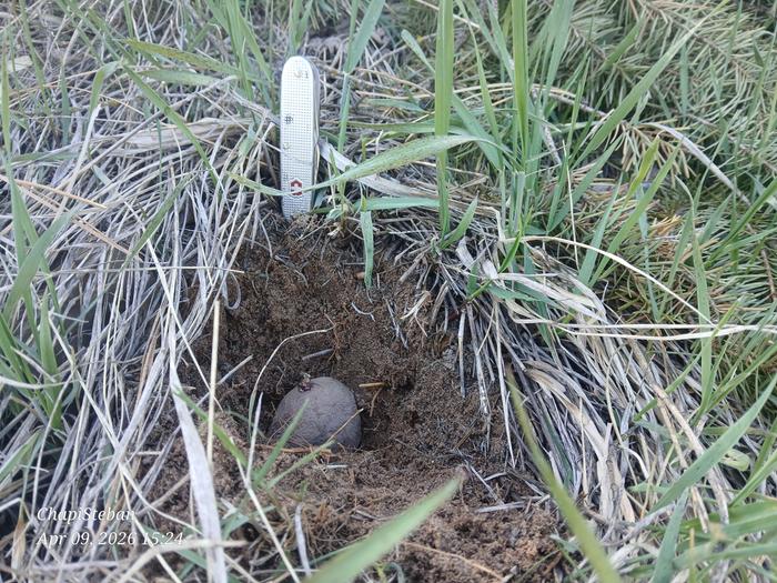 [Thumbnail for 20260409_152445.jpg]