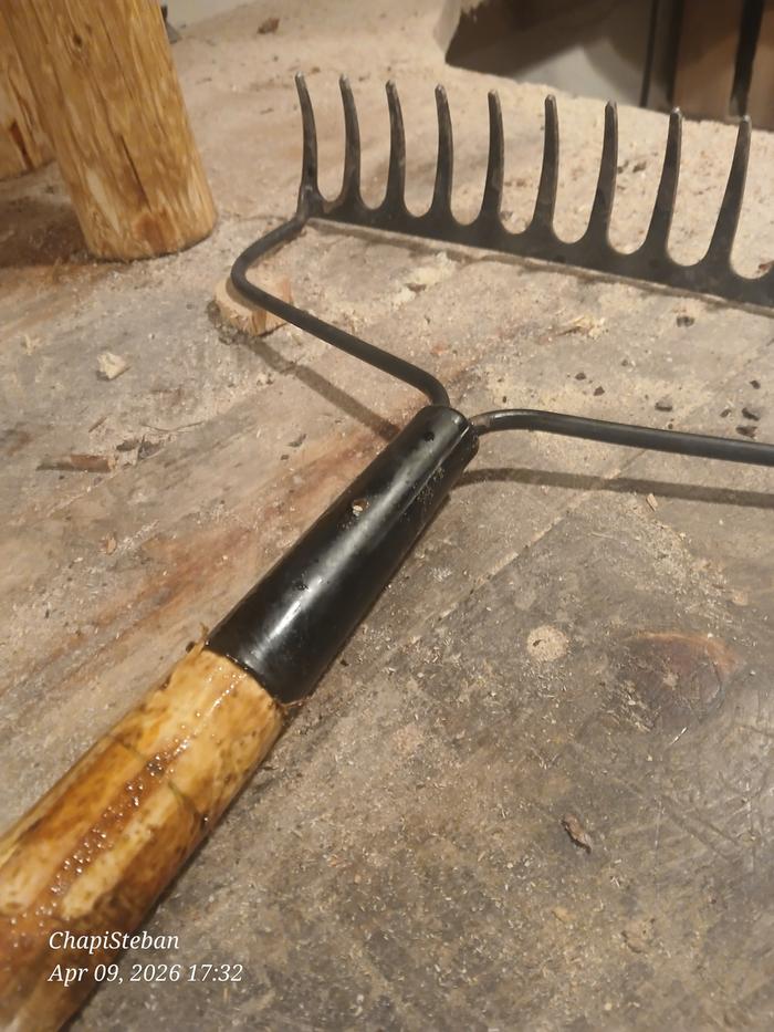 [Thumbnail for 20260409_173225.jpg]