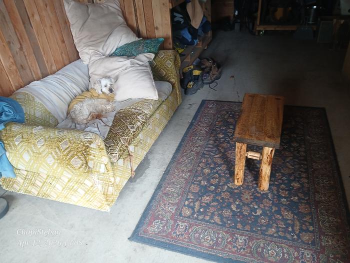 [Thumbnail for 20260412_130829.jpg]