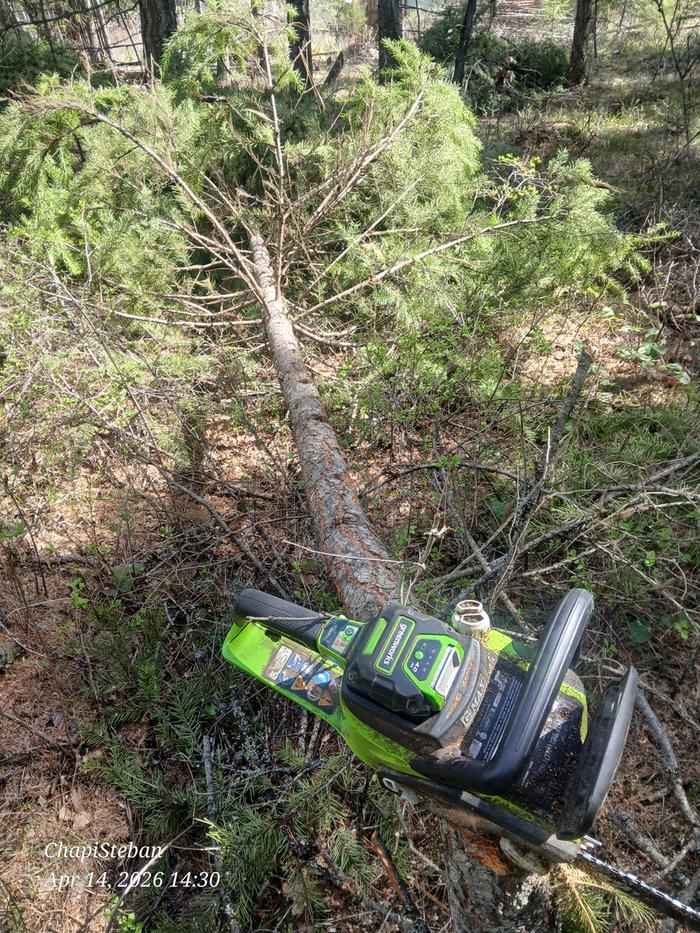 Harvesting more trees for horizontal supports 