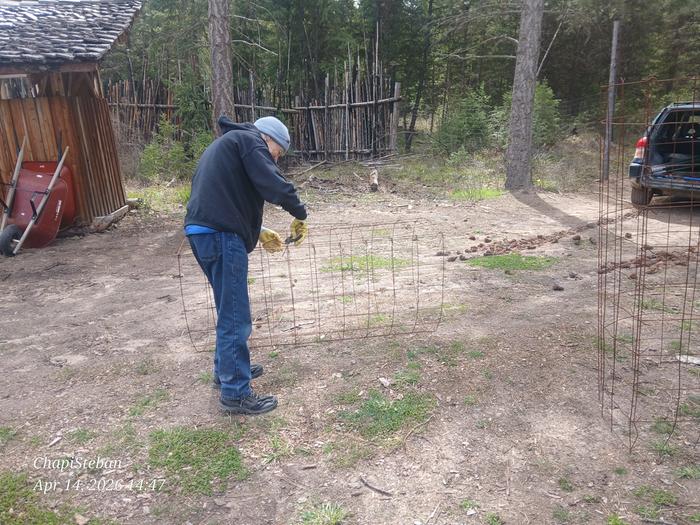Rodger building cages 