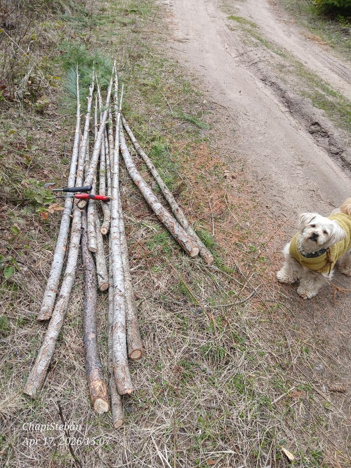 Junkpoles that I harvested 