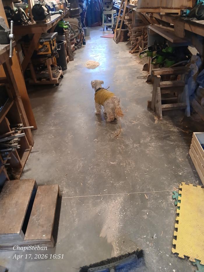 Finally cleaning up the shop