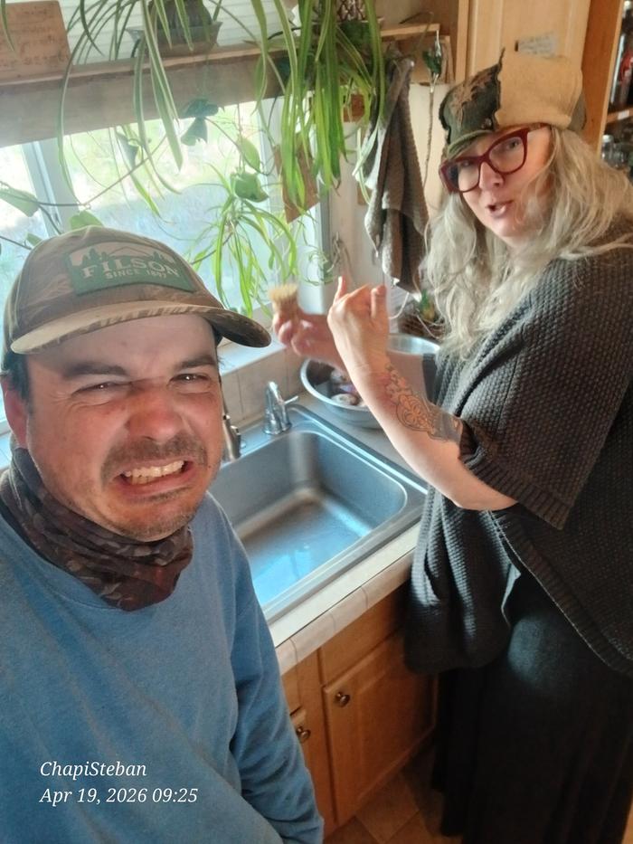 The cleaning blitz 