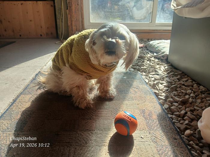 Kujo with one of his new toys 