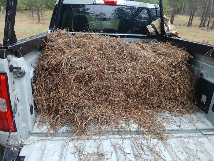 Some mulch we collected early into the task 