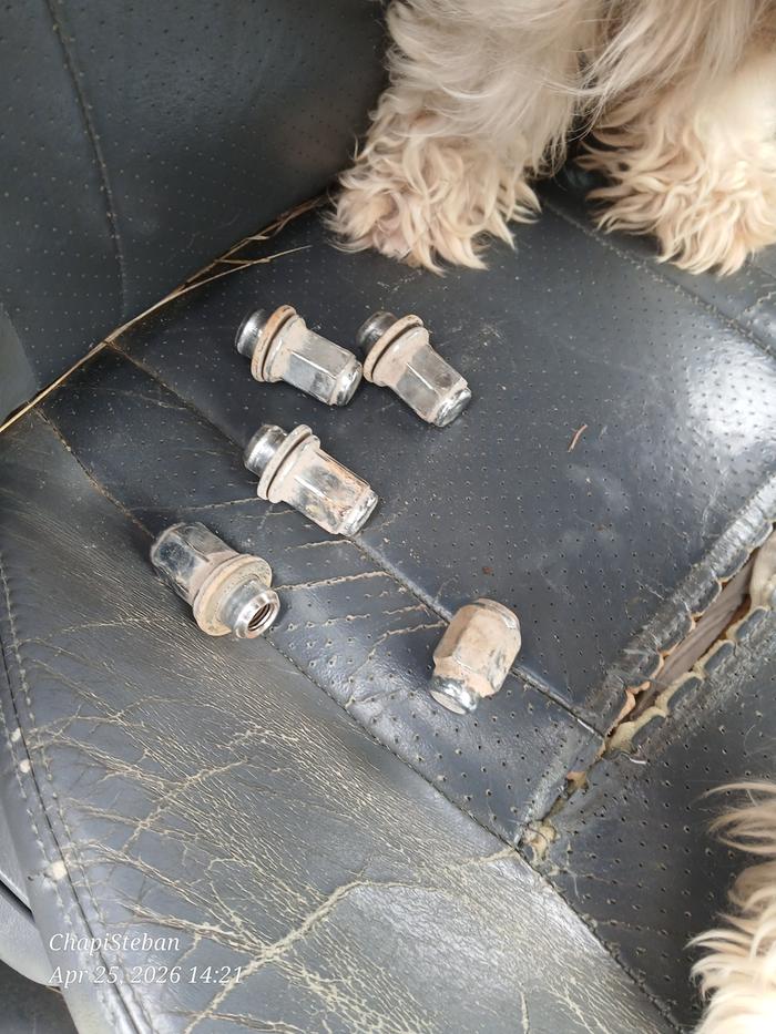 [Thumbnail for 20260425_142116.jpg]