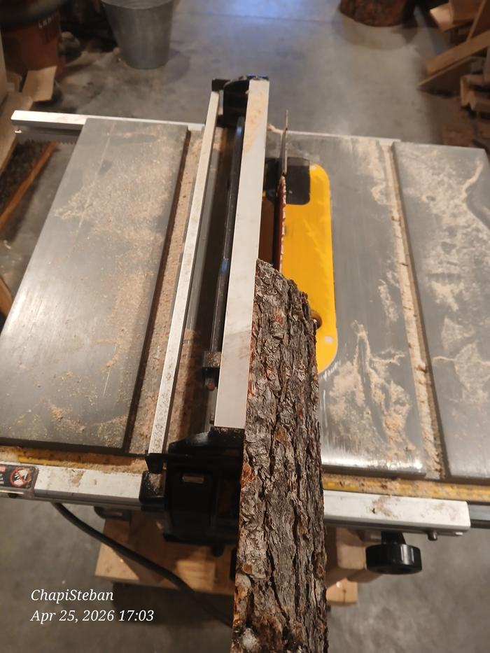 [Thumbnail for 20260425_170311.jpg]