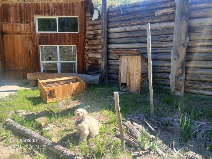 Time to replace the old cat house 