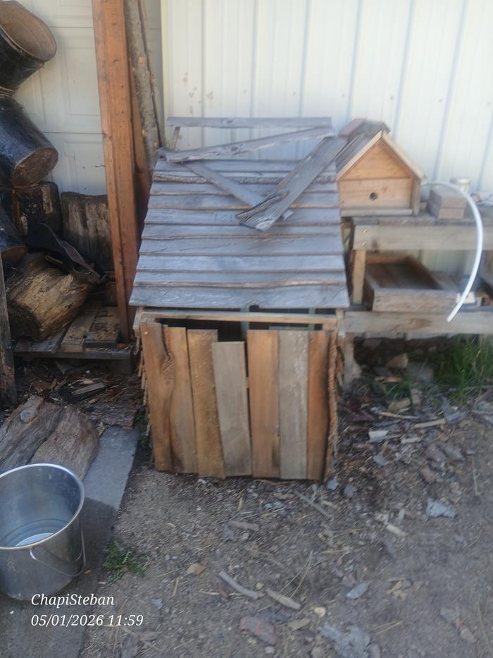 Old one staged by shop door 