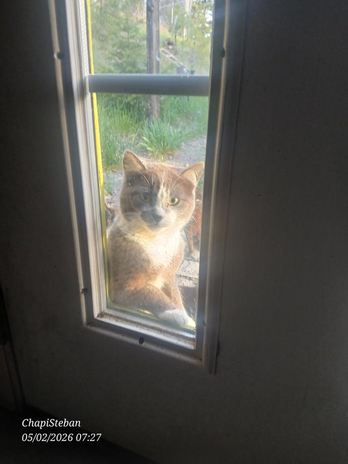 This little guy is always first in line lol
