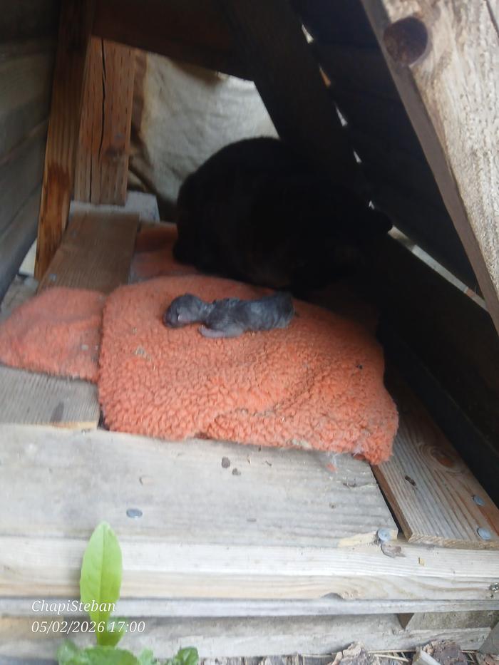 Back inside with his mother 