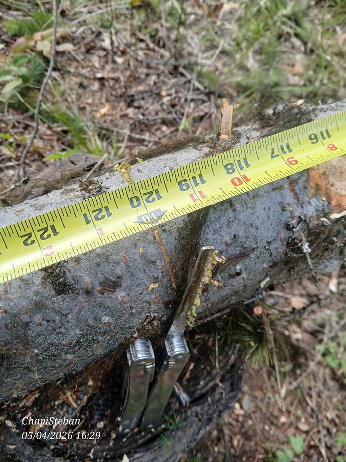 First cutoff length 