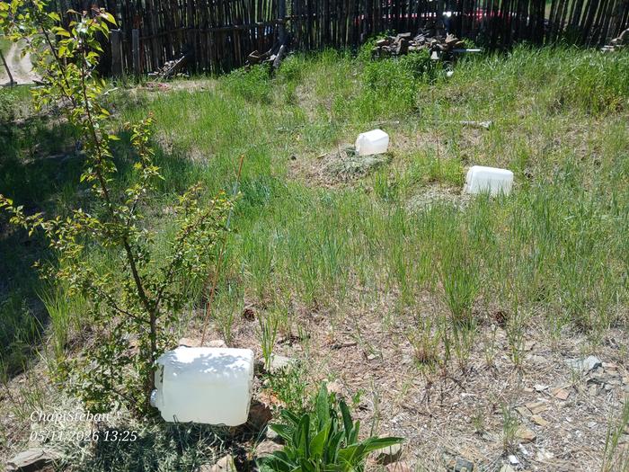 Water jugs at apricot alley 