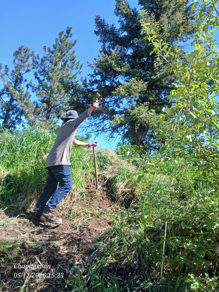 Jessie with the trail work 