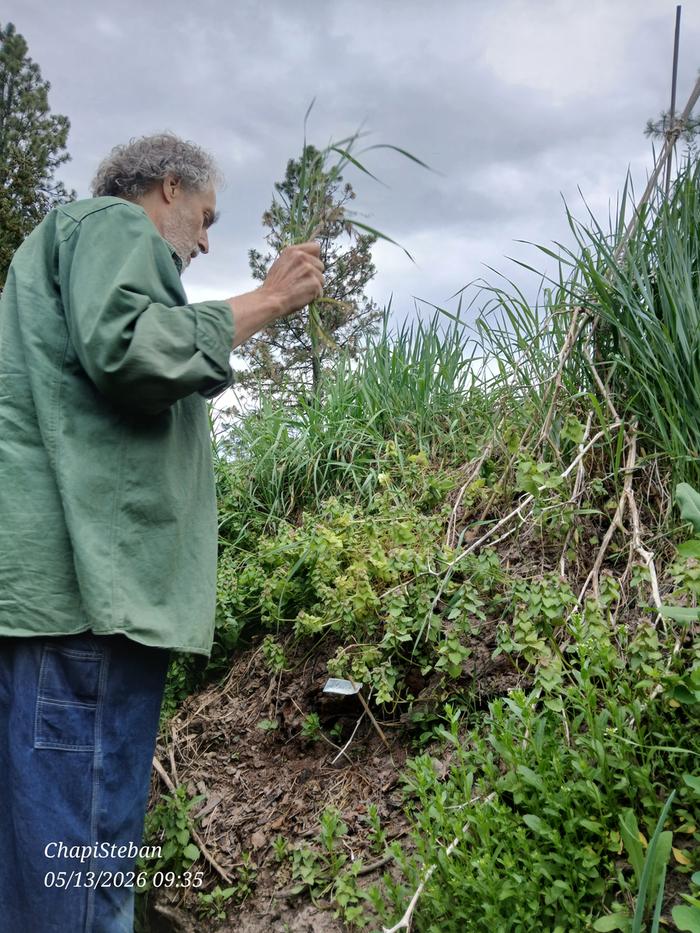 Paul explaining what to look for inorder to out in hugelberms .. 