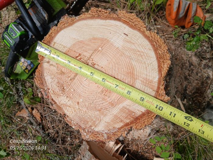 [Thumbnail for 20260515_143104.jpg]